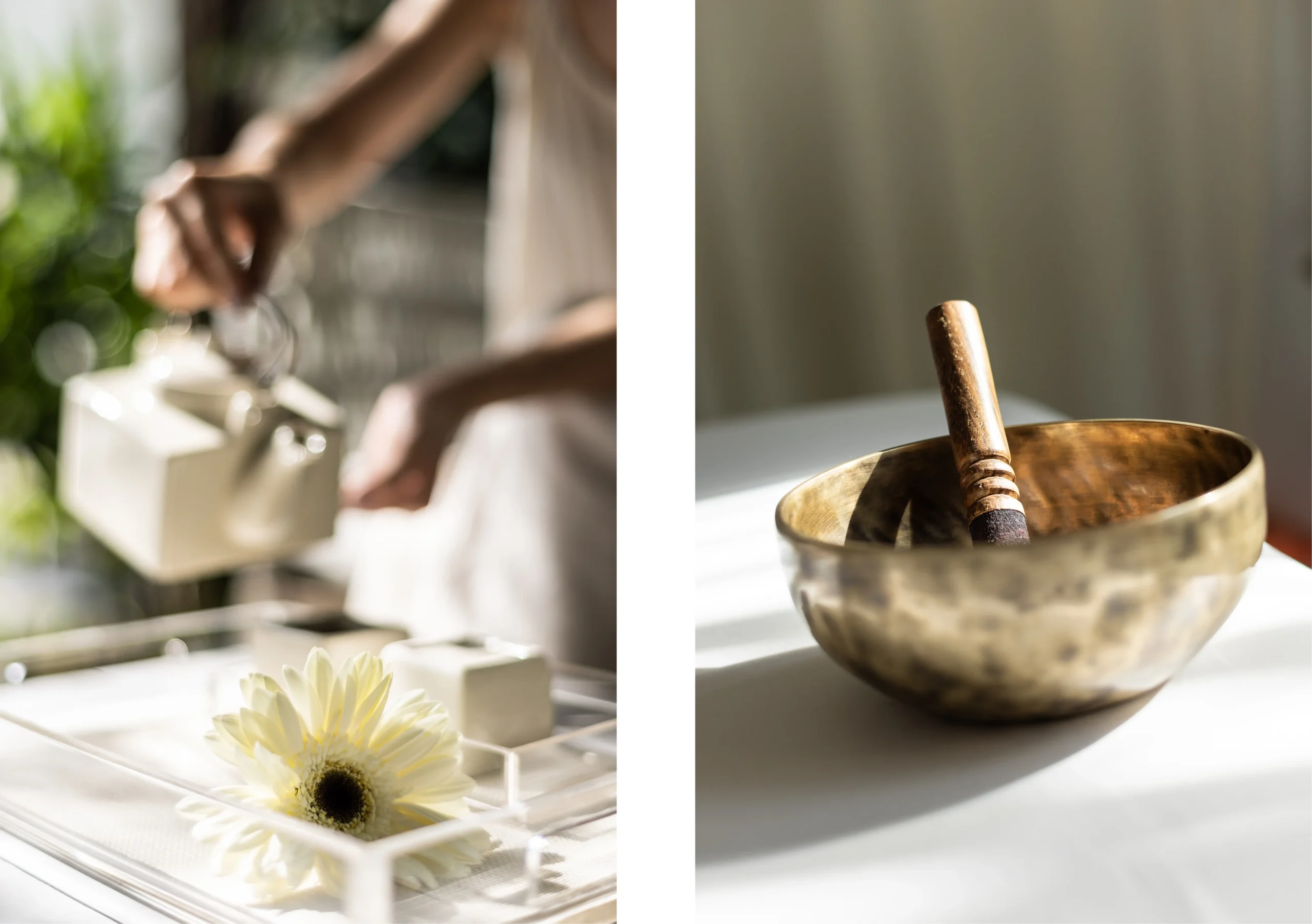 Nurturing the Seeds of Inner Peace