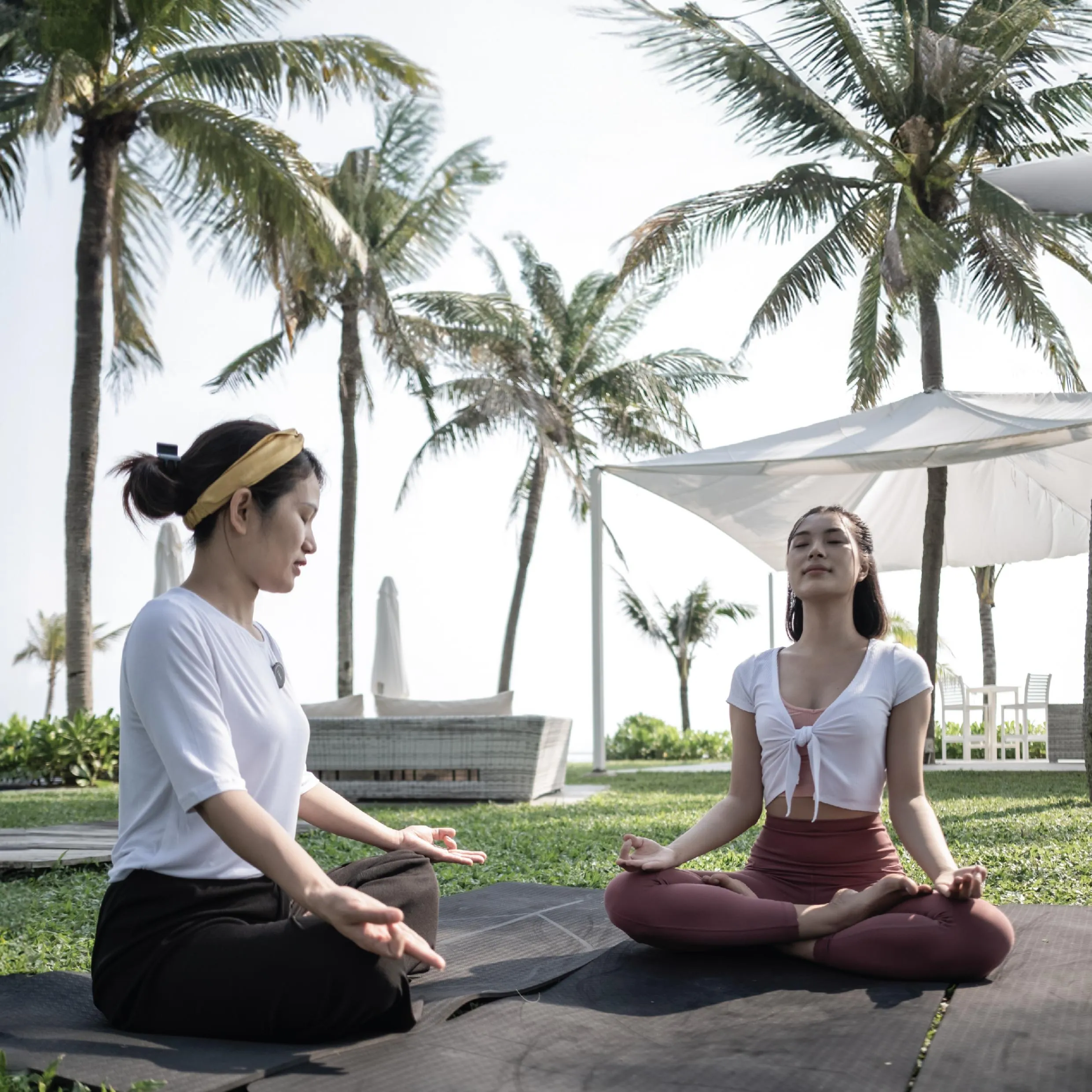 TIA MASTER THERAPIES JP 2024
