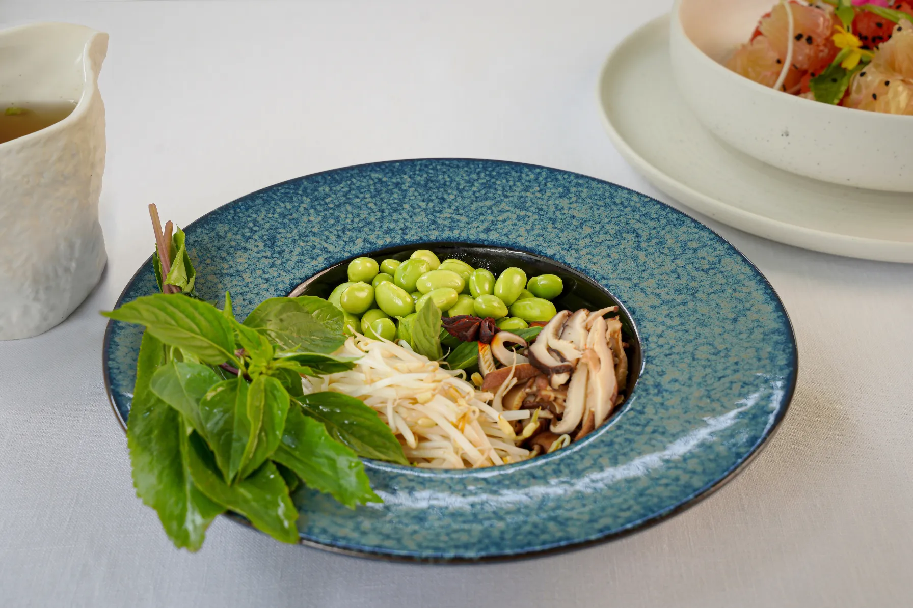 plant based wellness resort (3)