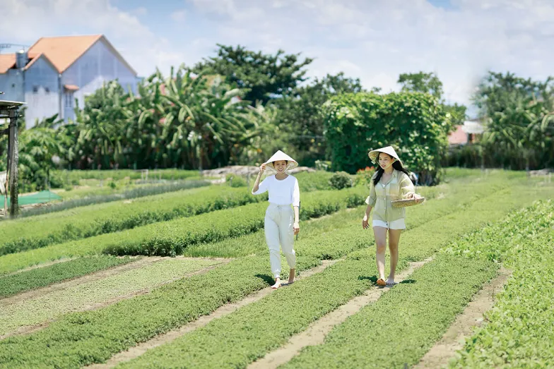 vegetarian food resort vietnam