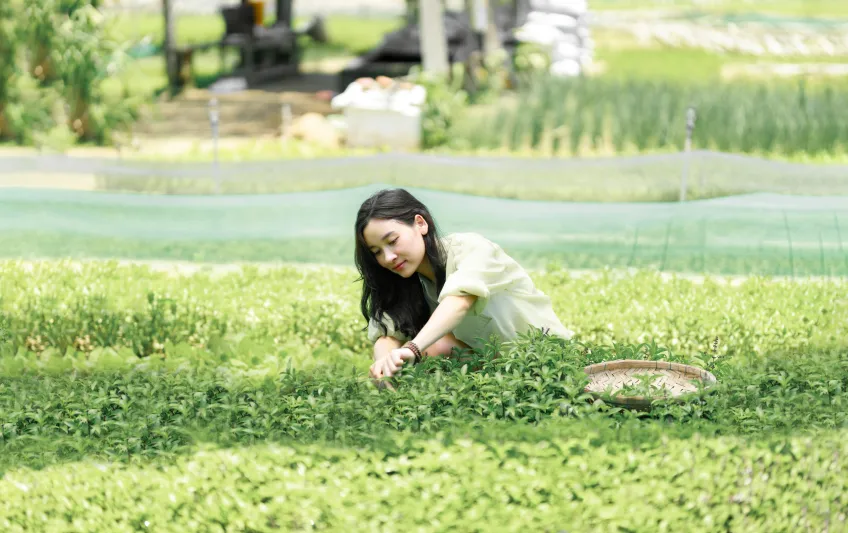 nghỉ dưỡng cao cấp đà nẵng