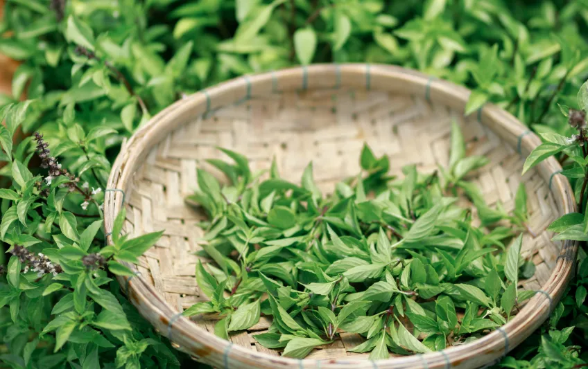 nghỉ dưỡng cao cấp đà nẵng