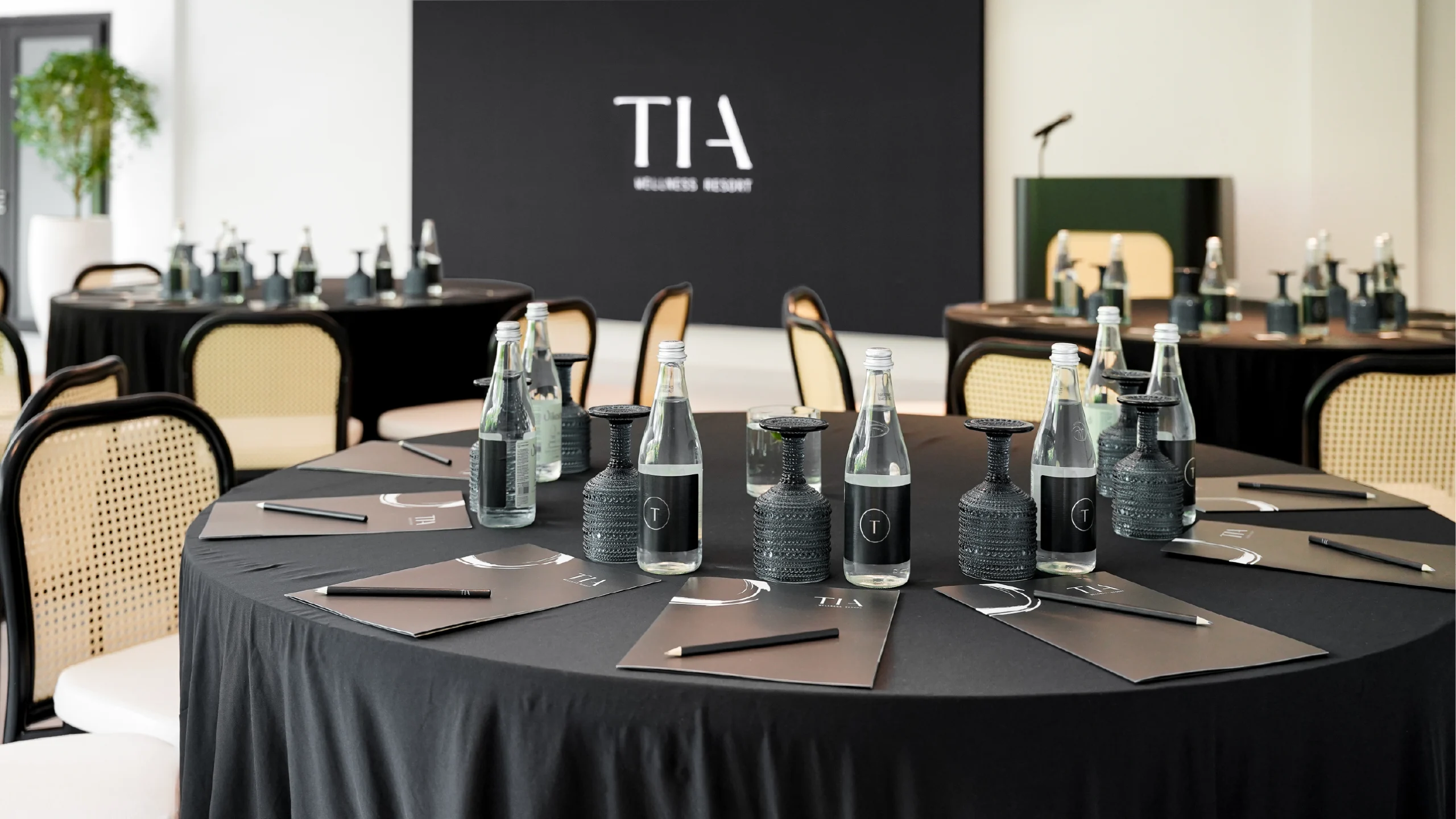 TIA - MEETING ROOM (2)