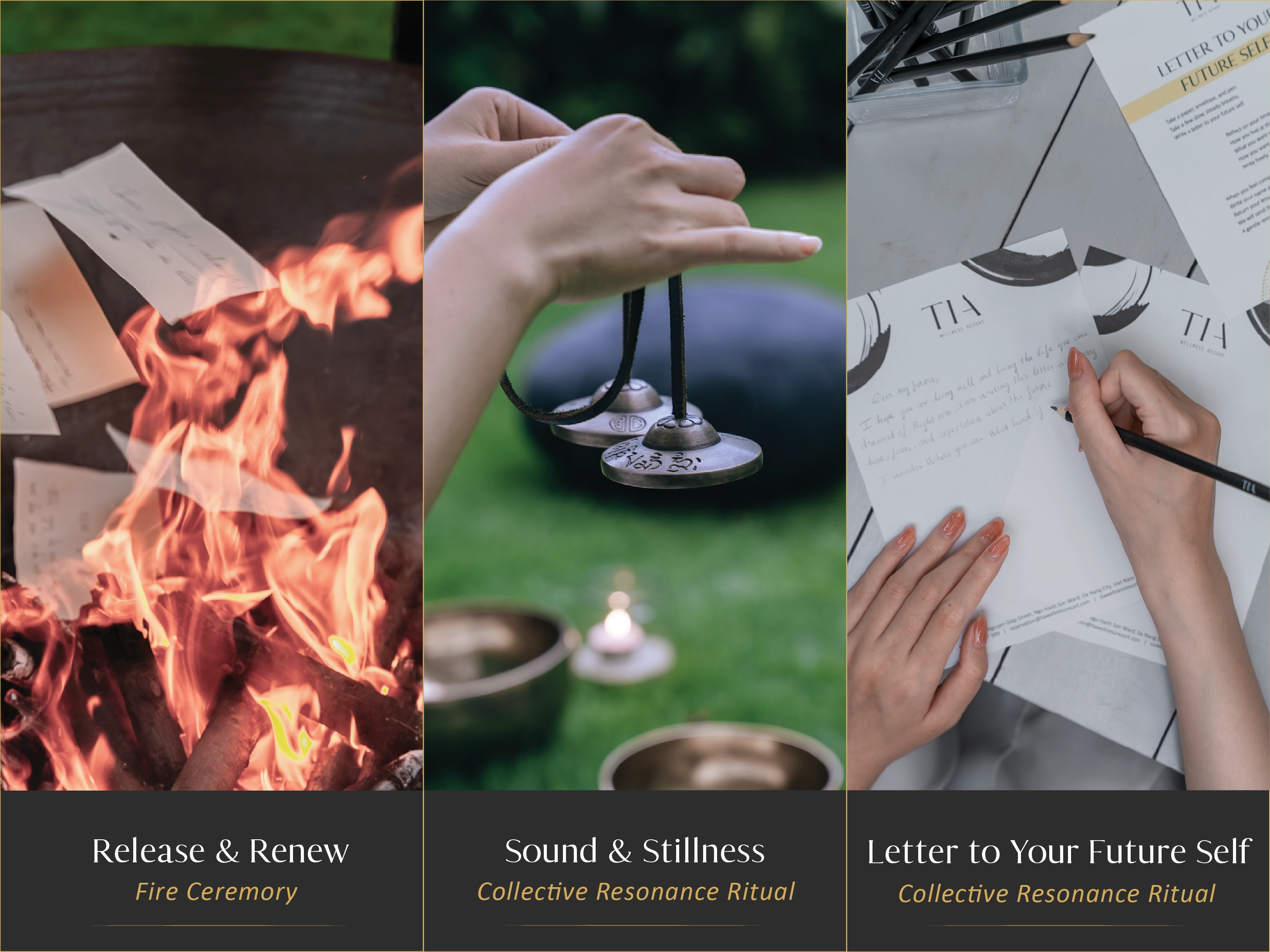 Social Wellness Activities