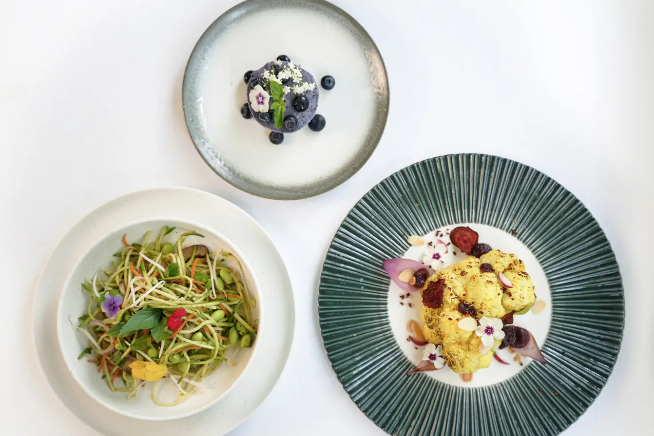 Discovering the Joy of Plant Based Food