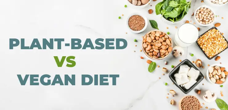 Vegan vs Plant-Based: The key differences