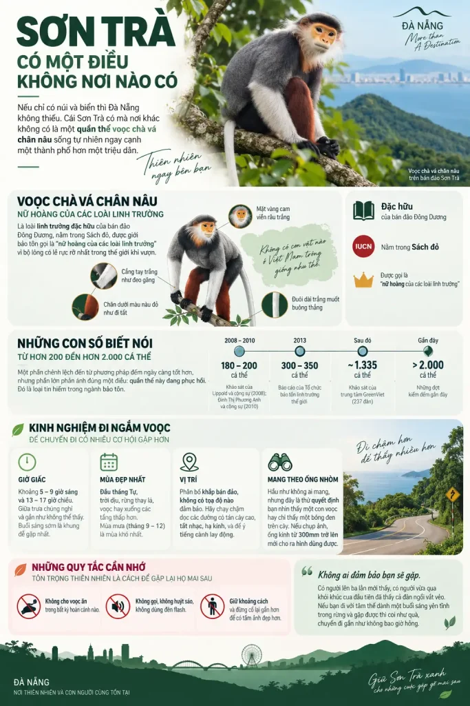 Tổng quan về voọc chà vá tại Bán đảo Sơn Trà