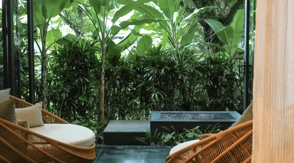 A wellness retreat surrounded by nature