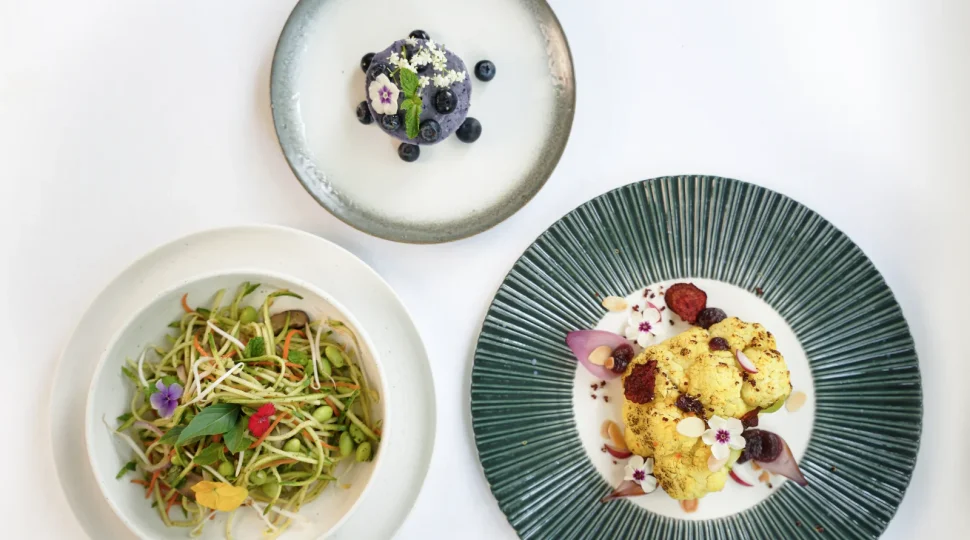 Plant-based là gì? Khám phá lợi ích của chế độ ăn plant-based